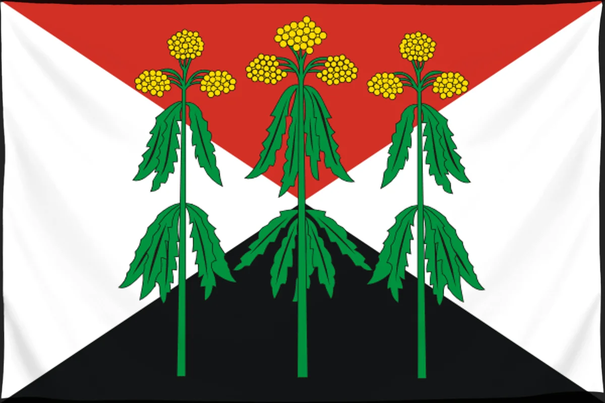 Флаг: Кимовский район